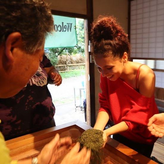 A relaxing Japanese cultural experience where you can heal your heart while enjoying creative French cuisine in a tatami room of an old folk house, after trying tea picking and tea making near the forest where Totoro lives!